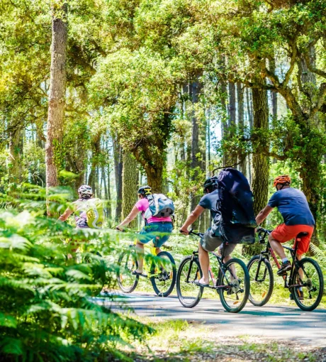 Séjour en groupe, enfants, famille, professionnels… en Auvergne Rhône-Alpes